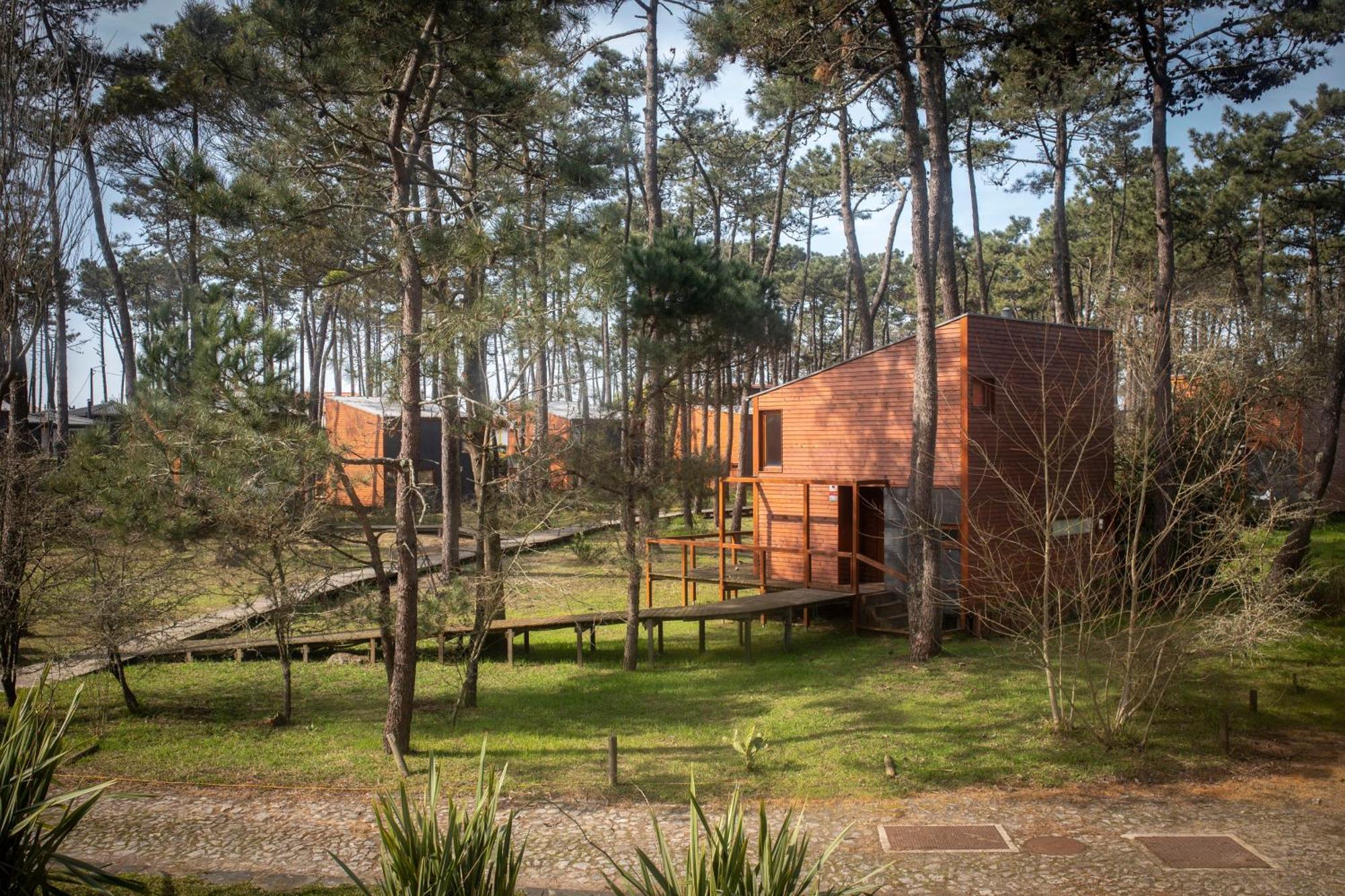 Bungalow B2 - Nature, Beach & River โอฟีร์ ภายนอก รูปภาพ