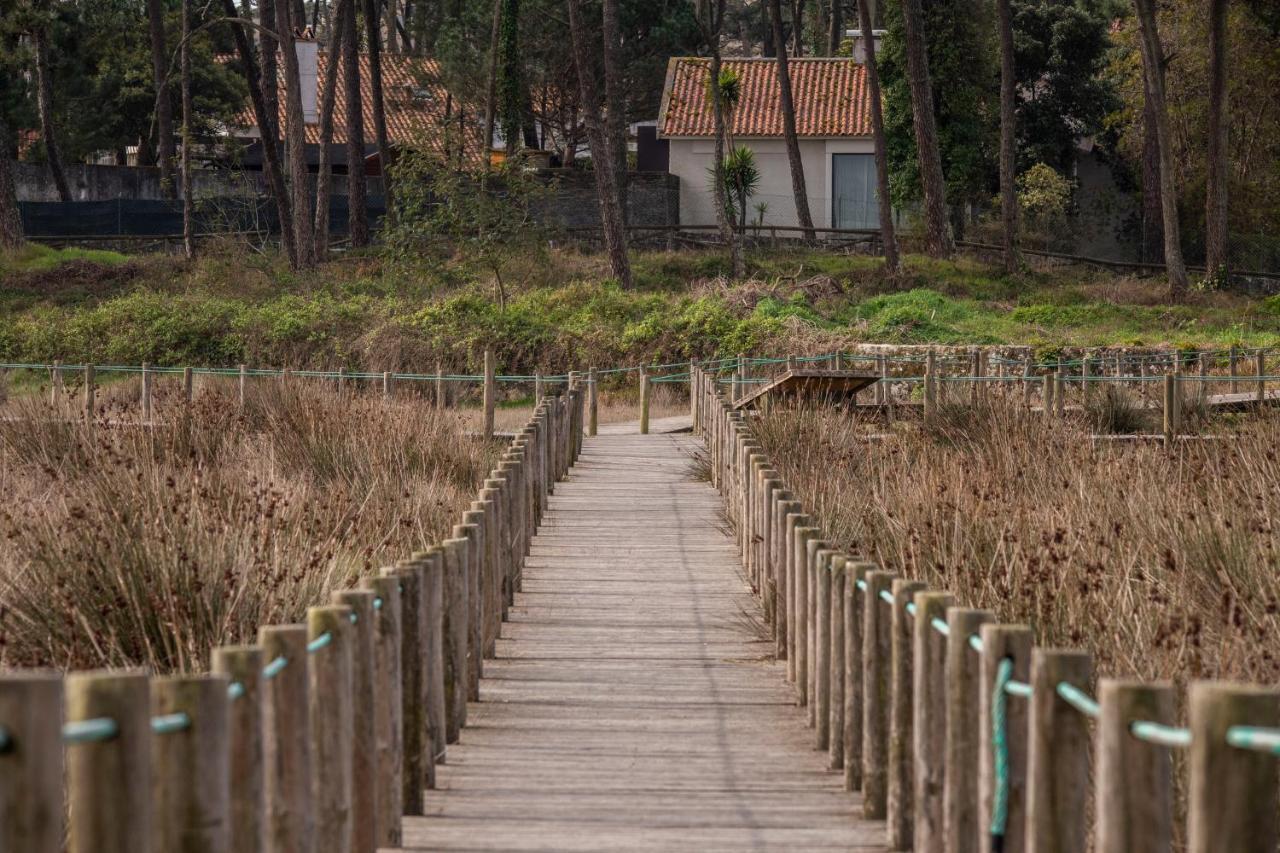 Bungalow B2 - Nature, Beach & River โอฟีร์ ภายนอก รูปภาพ